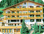 Wellness Hotel Baiersbronn-Schönmünzach